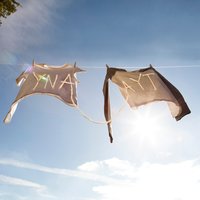 Windowwww - Sorority Noise