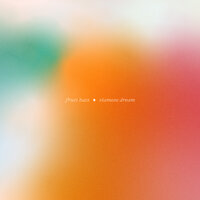 Geek U.S.A - Fruit Bats