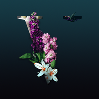 Little Voices - Lane 8, Anderholm