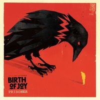 How It Goes - Birth Of Joy