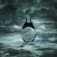 Shadows of Our Mind - Birds Of Passage