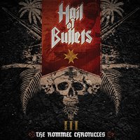 Swoop of the Falcon - Hail of Bullets