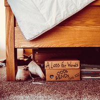My Blood Is Too Thick for Nevada - A Loss For Words