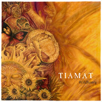 Visionaire - Tiamat