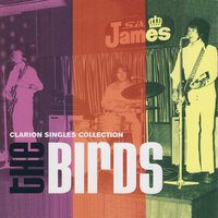 No Good Without You - The Birds
