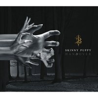 Point - Skinny Puppy