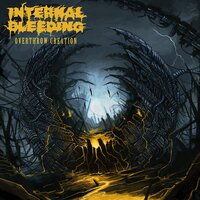 Internal Bleeding
