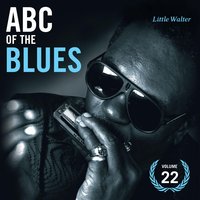 Can't Hold On Much Longer - Little Walter