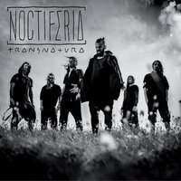 Noctiferia
