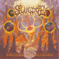 Slugdge
