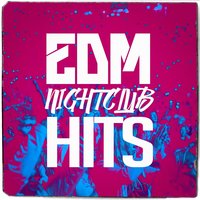 Lonely Together - Dance Hits 2014