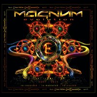 The Fall - Magnum