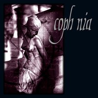 Sanctus - Coph Nia