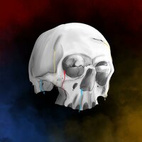 Sometimes I Have To Die - Abstract