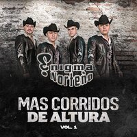 El Hijo de la Mafia - Enigma Norteño