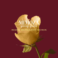 Young Queen - mimoza, Marc Benjamin