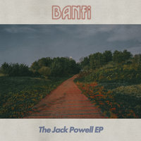 Never Really Cared - Banfi