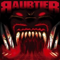 Polarvargen - Raubtier