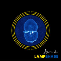 Lampshade