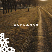 Дорожная - Анатолий Крупнов