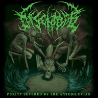 Disentomb