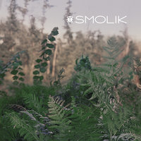 Kremowa Rewolucja - Smolik
