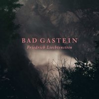 Take It with Me - Friedrich Liechtenstein