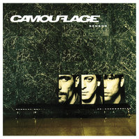 Blink - Camouflage