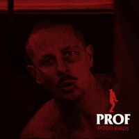 Dodo Birds - PROF
