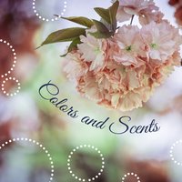 Serenity - Meditation Spa Society