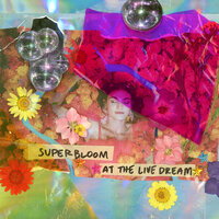 whywhywhy at the Live Dream - MisterWives