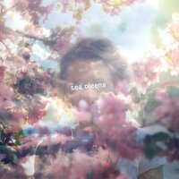 Cold White Sheets/Empty Bed - Sea Oleena