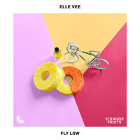 Fly Low - Elle Vee