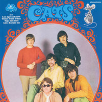I've Always Tried To Understand - The Cats