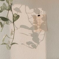 polar - Xona