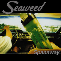 Assistant (to the manager) - Seaweed