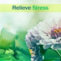 Divine Spa - Zen Meditation and Natural White Noise and New Age Deep Massage