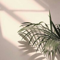 pessimist - Xona