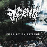 Puking Reverse Is a Slow Motion Massacre - Placenta