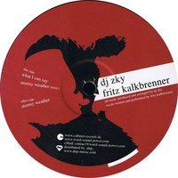 What I Can Say - Dj Zky, Fritz Kalkbrenner