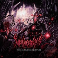 Superluminal Wormhole Divulgation - Vulvodynia