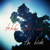 The Birds - Telefon Tel Aviv, Ellen Allien