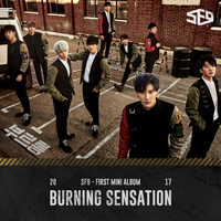 靑春;tell me what it is - SF9