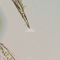 Schneemann - Nugat, Souly, mrks