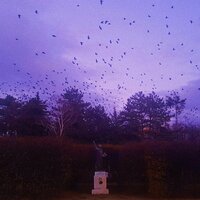 Ghost - ivri