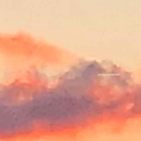 Accusations - 070 Shake