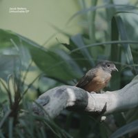 Untouchable - Jacob Bellens