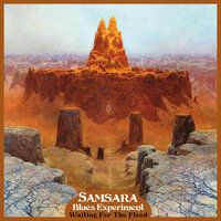 Waiting for the Flood - Samsara Blues Experiment