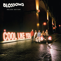 Stranger Still - Blossoms