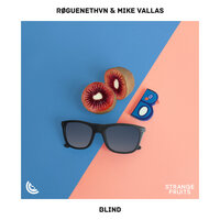 Blind - RØGUENETHVN, Vallas